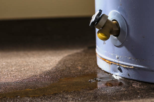Water damage restoration insurance claims in MS