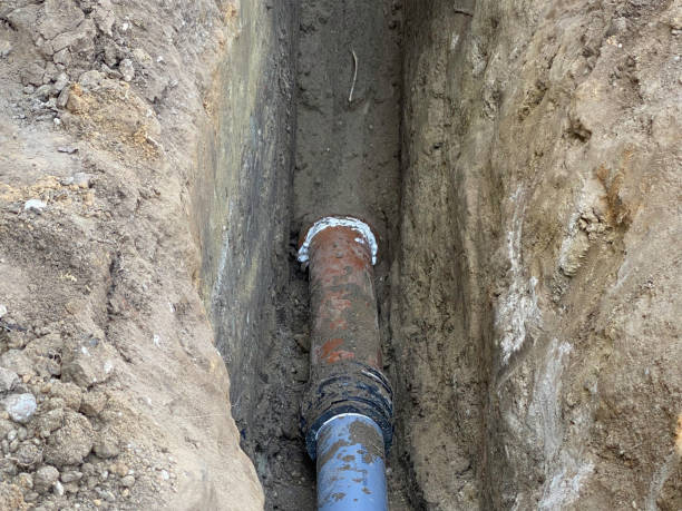 Best Flood restoration services  in Carthage, MS