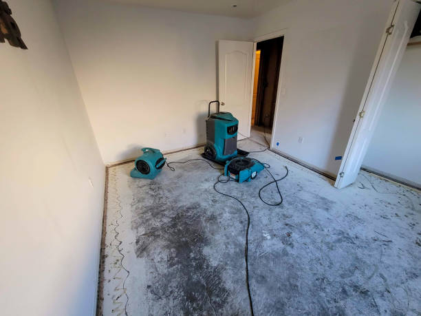 Best Mold removal after water damage  in Carthage, MS