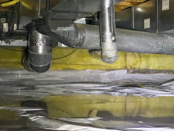 Best Flood damage cleanup  in Carthage, MS