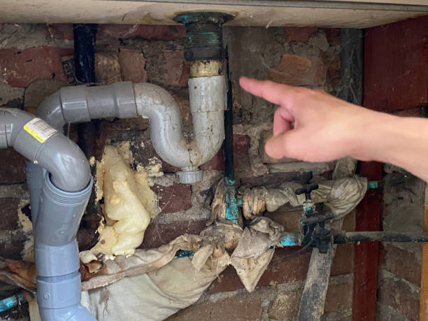 Best Ceiling water damage repair  in Carthage, MS