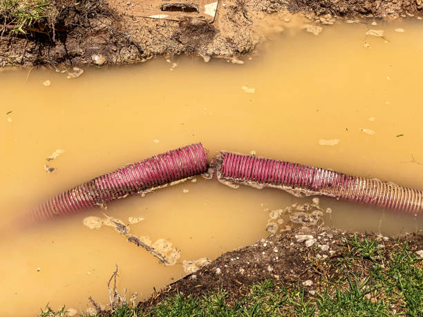  Carthage, MS Water damage restoration Pros